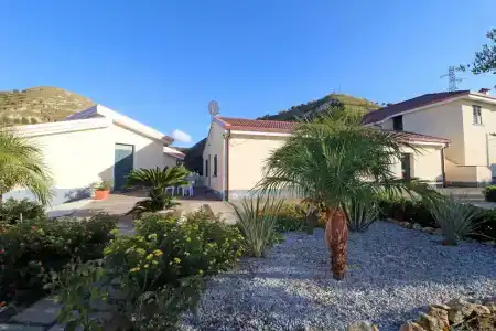 Garden - 49