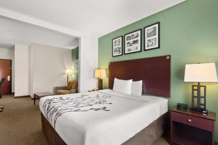 Sleep Inn & Suites Bush Intercontinental - IAH East - 47