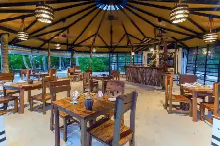 Yash Nature Resort (ex. Aaaveee Natures Paradise) - 16