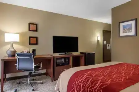Comfort Inn Sandy Springs – Perimeter - 36