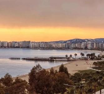 Palm Suites - 11