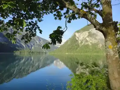 AlpenAmmerwald - 31