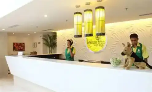 Lemon Tree Electronics City - 15
