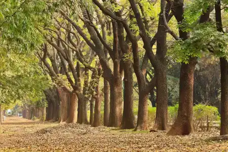 Jw Marriott Bengaluru - 19