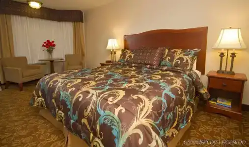 Tropicana Inn and Suites - 16