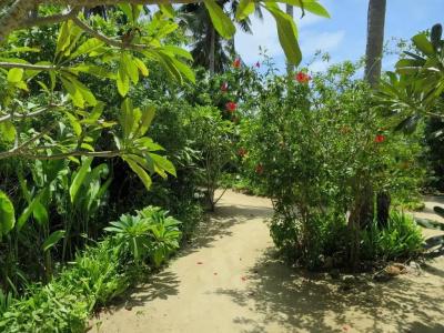 Seaflower Bungalows - 64