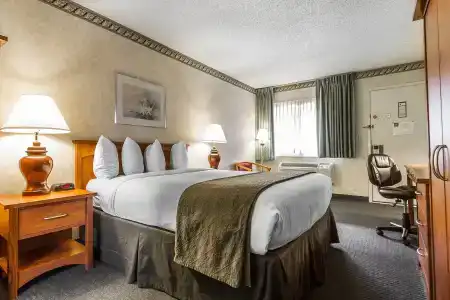 Quality Inn & Suites - 41