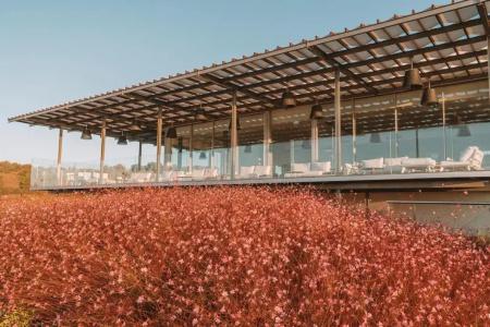 Palmares Beach House - Adults Only - 33