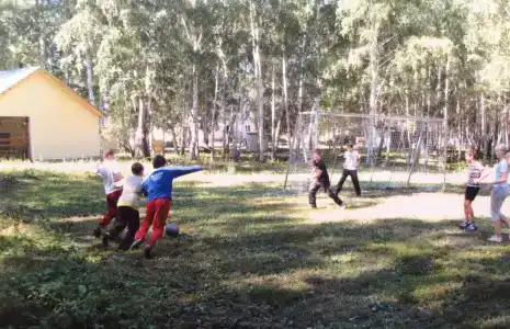 Зеленая поляна - 2
