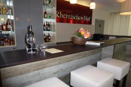 Rheinischer Hof Bad Soden - 10