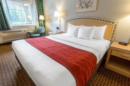 Stanford Motor Inn - 39