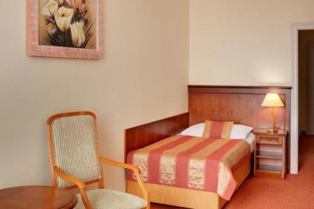 Ensana Centrální Lázně - Maria Spa - 54