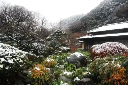 Yoshiike Ryokan - 7