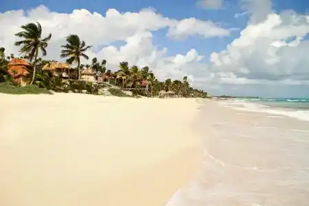 Papaya Playa Project - 12