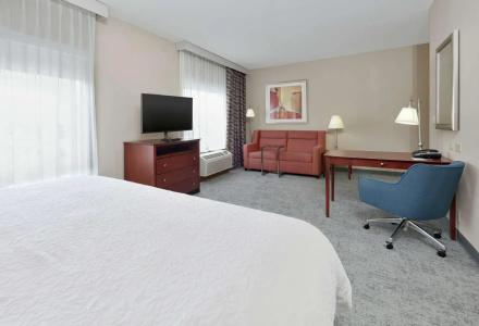 Hampton Inn & Suites I-20 - 55