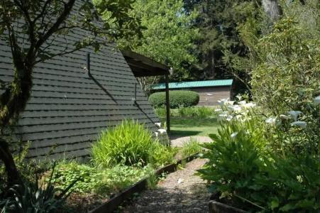 Park and Cabins - 43