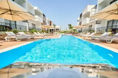 Halibas - 21