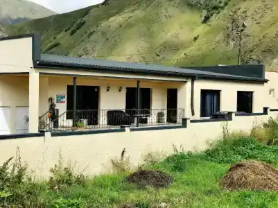 Bibos kokhi - 0