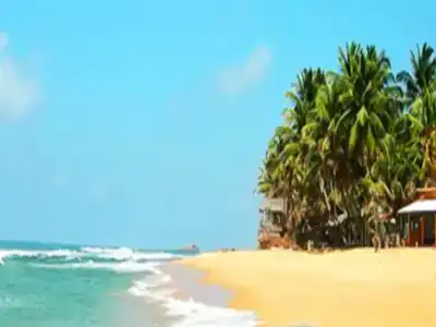 Star Holiday Resort - 9
