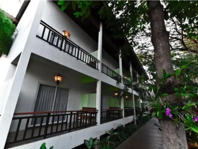 Tree House Sisaket - 17