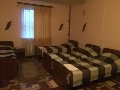Фламинго - 101