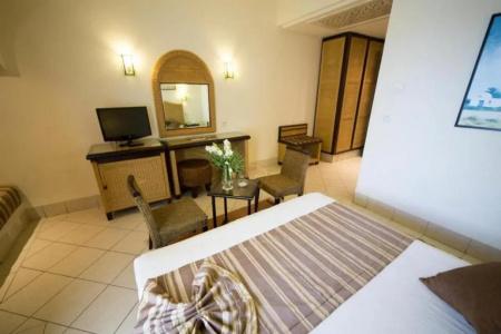 Green Palm - 2