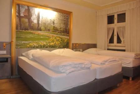 Hotel-Restaurant Goldenes Lamm - 38