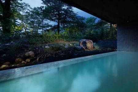The Ritz-Carlton, Nikko - 29