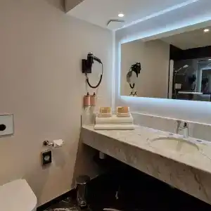 Mercure Orléans Centre Bords de Loire - 45