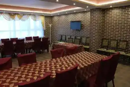 Аэлита - 12