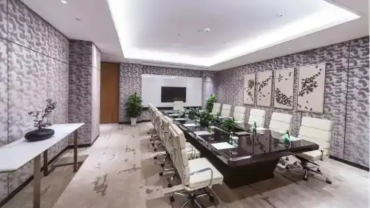 Holiday Inn Nanjing Xuanwu Lake, An Ihg - 14