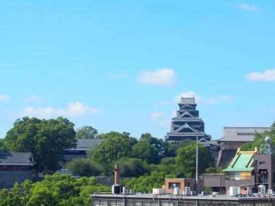 Kumamoto Green - 22
