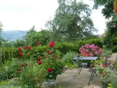 Pension Schöpke - 31