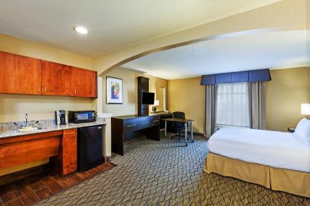 Holiday Inn Express & Suites Houston-Downtown Convention Center, An Ihg - 58