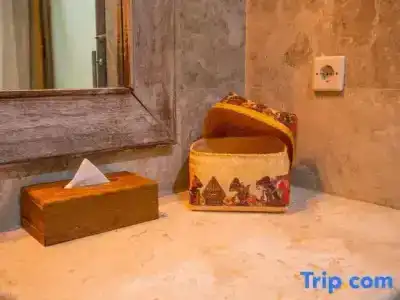 Alam Puri Art Museum Resort & Spa - 47