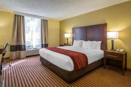 Comfort Inn Maingate - 32