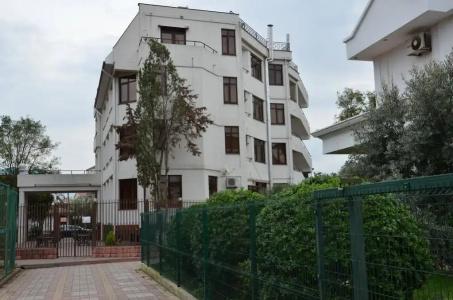 Афина - 15