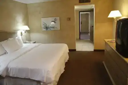Ramada by Wyndham Viscount Suites Tucson East - 27