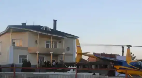 Королевский Дрозд - 5