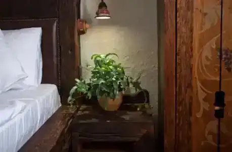Halasi Pince Panzió - 3