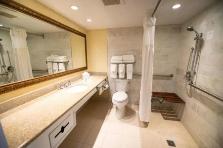 Holiday Inn Regency, An Ihg - 44