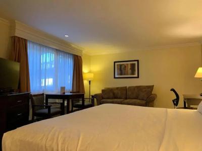 Best Western Plus - 23