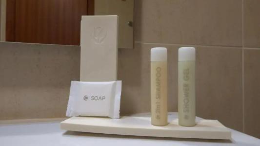 Golden Tulip Braga - Falperra - 50