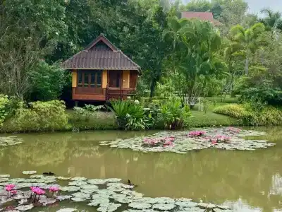 Pura Vida - 30