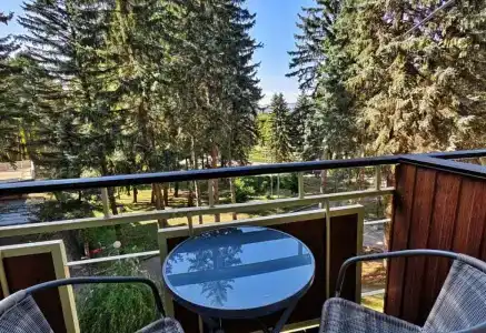Пикет - 11