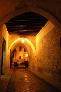 Domatia - 14