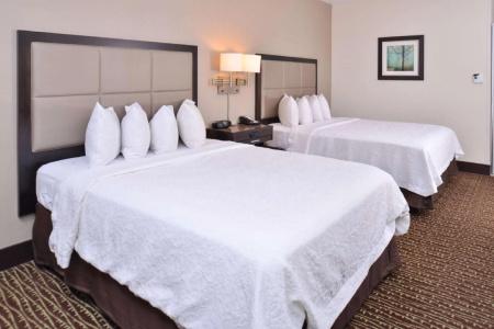 Hampton Inn & Suites - 74