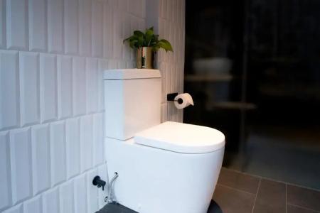 Nuve Elements (Sg Clean, Staycation Approved) - 69