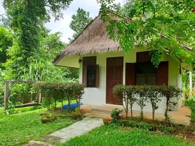 Chiang Dao Hut - 15