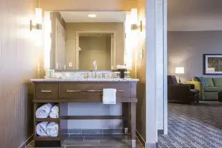 Hampton Inn Houston Downtown - 46